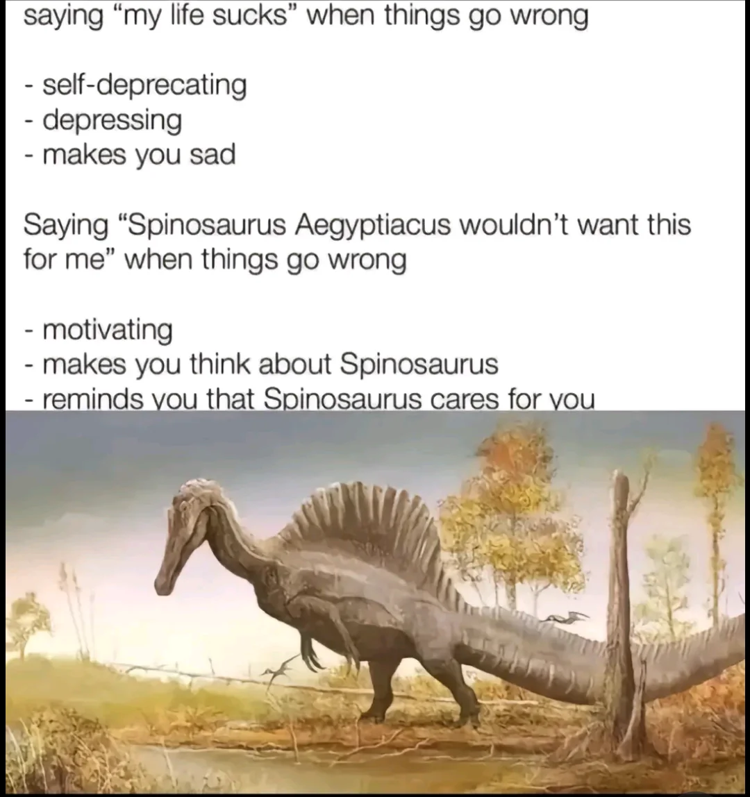 30 Self-Deprecating Memes: Laughing at Ourselves Before Others Can 30 When things go wrong