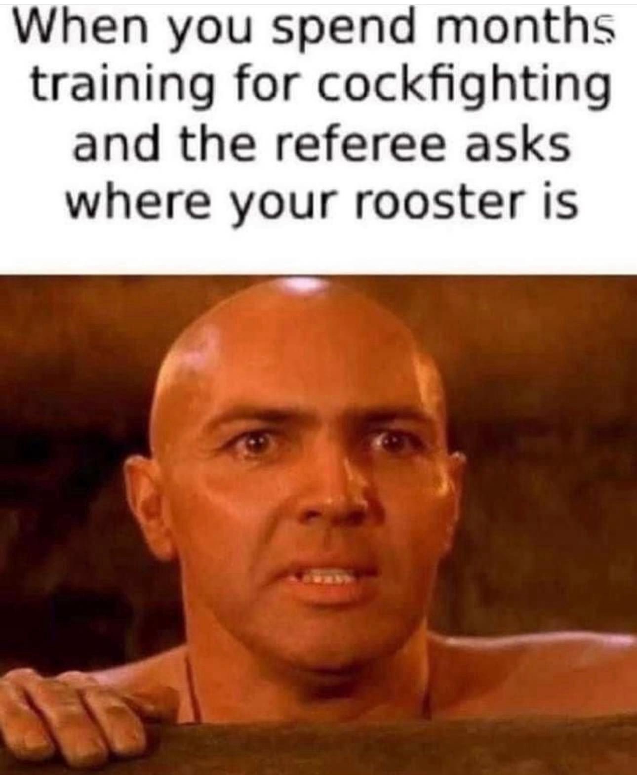 25 Memes So Bizarre, They'll Live in Your Head Rent-Free 25 Where your rooster is