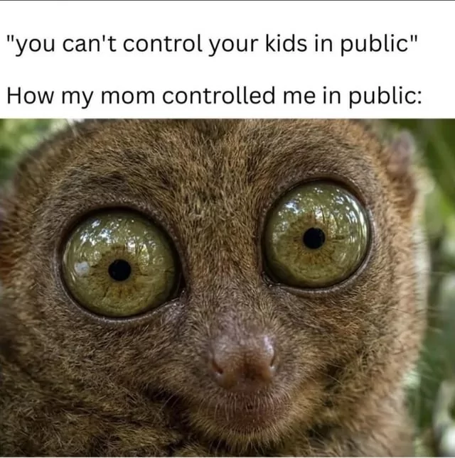 25 Funniest Parenting Memes for When You’ve Got 99 Problems and a Kid is All of Them 27 You cant control kids