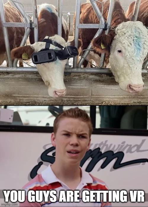 35 Udderly Entertaining Cow Memes That Will Make Your Day Moo-velous! 22 You guys are getting VR