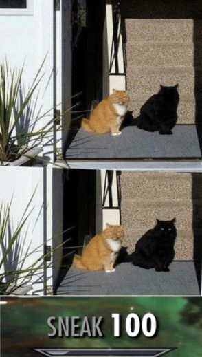 20 Sneak 100 Memes That Are Sneakily Hilarious 2 cat shadow - Sneak 100 Memes