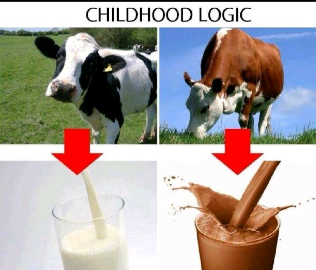 35 Udderly Entertaining Cow Memes That Will Make Your Day Moo-velous! 5 childhood logic