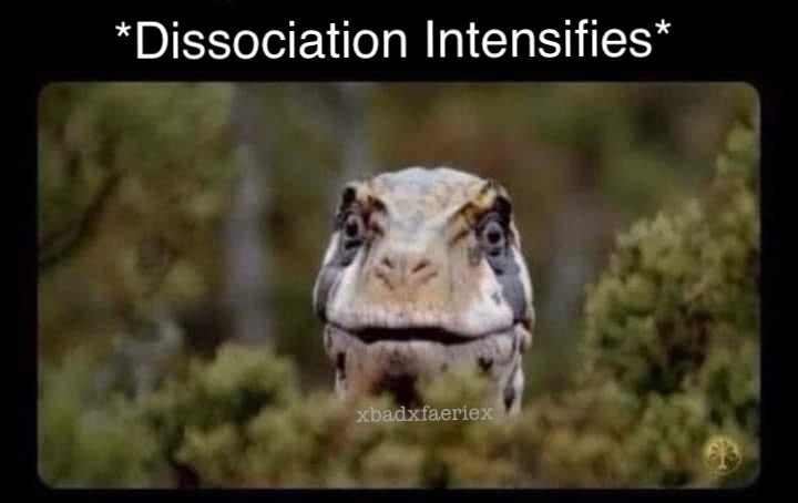 10 Memes That Are a Complete Mixed Bag of Laughs 4 dissociation