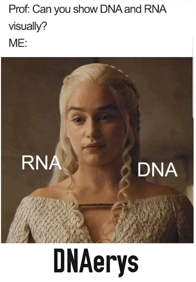 40 Science Memes That Have Been Proven To Cause Laughter 4 DNA vs RNA - science memes