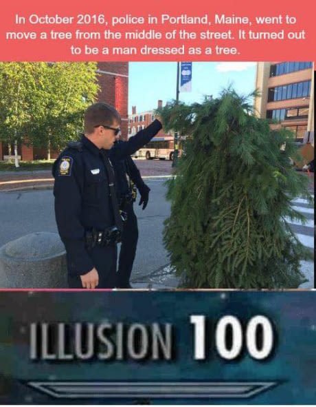 20 Sneak 100 Memes That Are Sneakily Hilarious 7 dressed as tree - Sneak 100 Memes