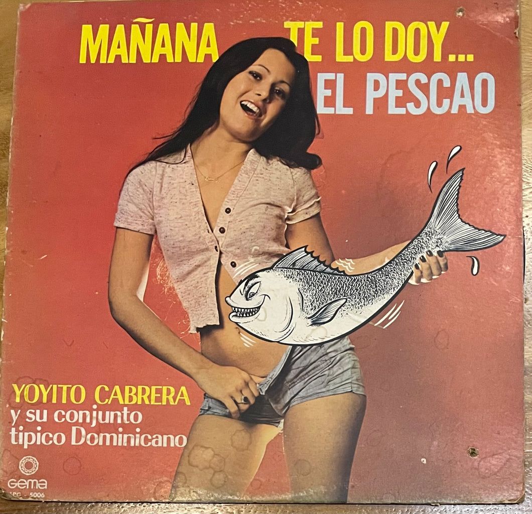 25 Hilariously Bad Album Covers That Are So Awful, They’re Funny 22 back door