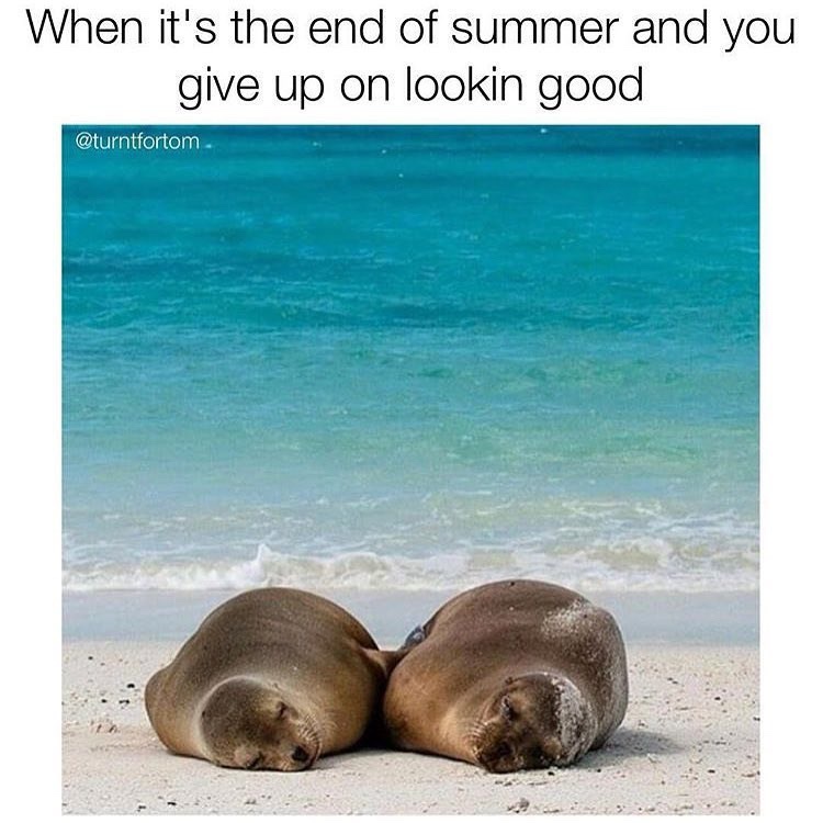 20 Memes That Are Like a Meme Salad—Totally Random and Deliciously Funny 4 end of summer