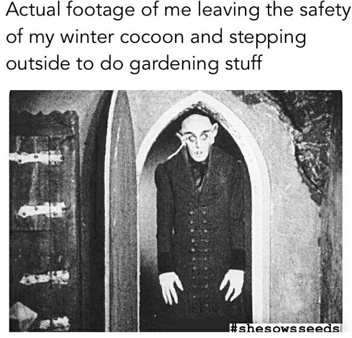 20 Plant Memes That Will Leaf You Laughing 3 gardening stuff - Plant Memes
