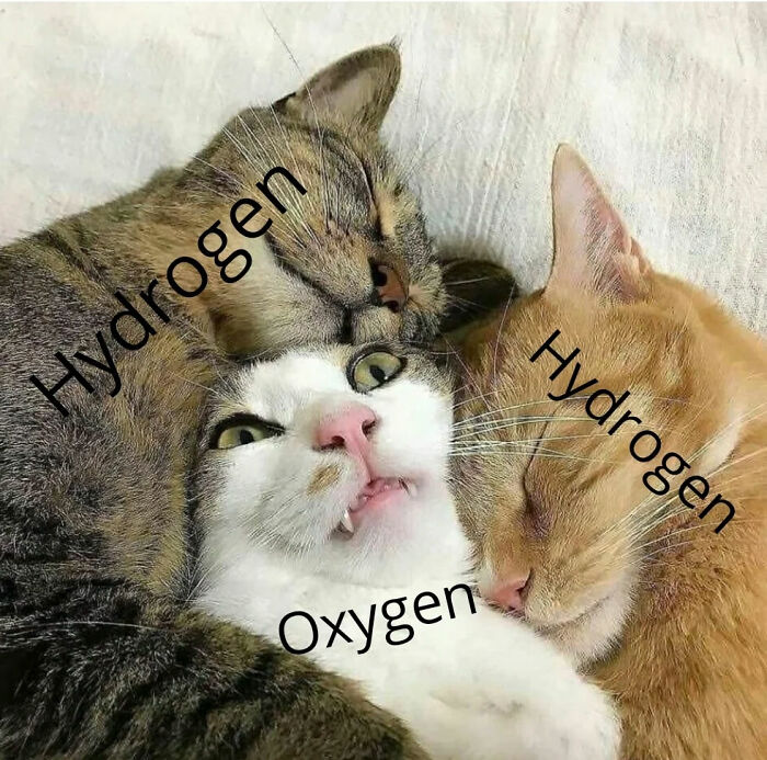 20 Geeky Science Memes to Power Up Your Laughter Neurons 6 h20 - Geeky Science Memes
