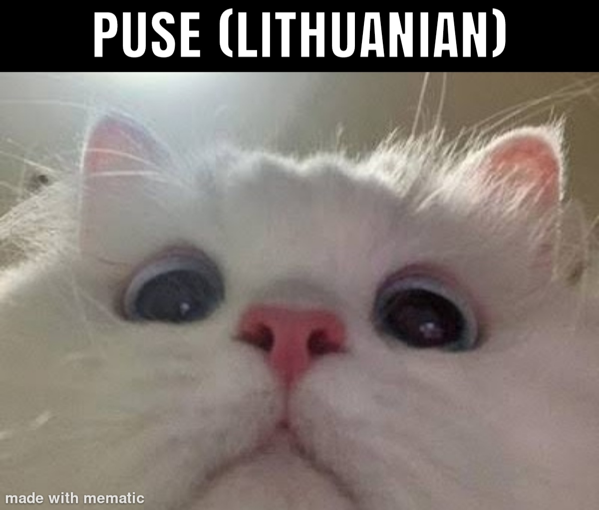 30 Funny Foreign Words That Sound Vulgar To English Speakers 10 half - funny foreign words