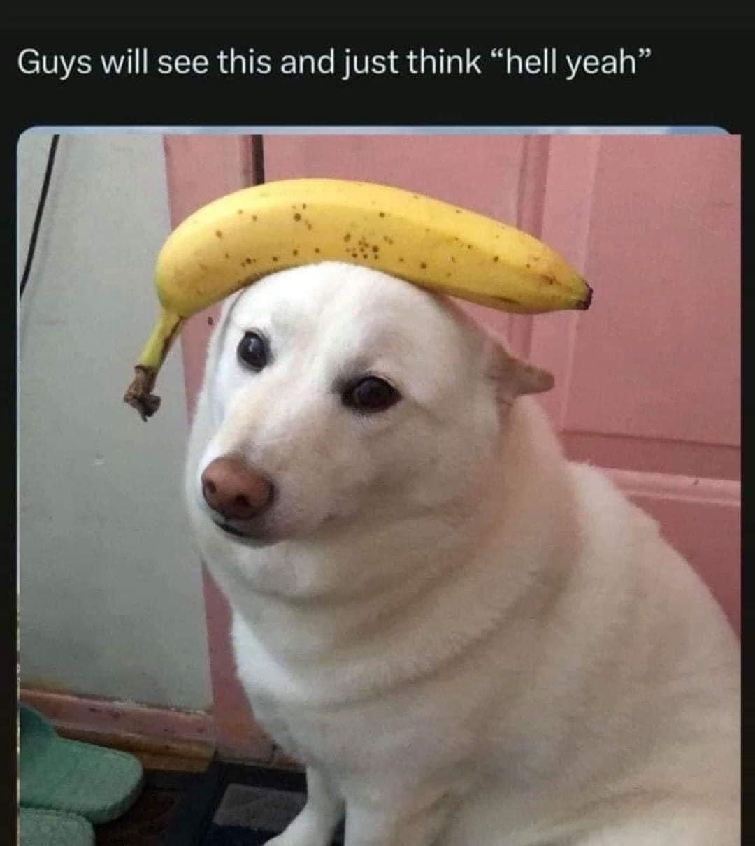 25 Surreal Memes That Will Make Your Brain Do Somersaults 22 hell yeah