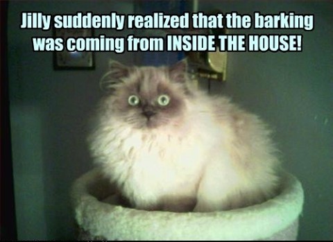 it was a dark stormy night