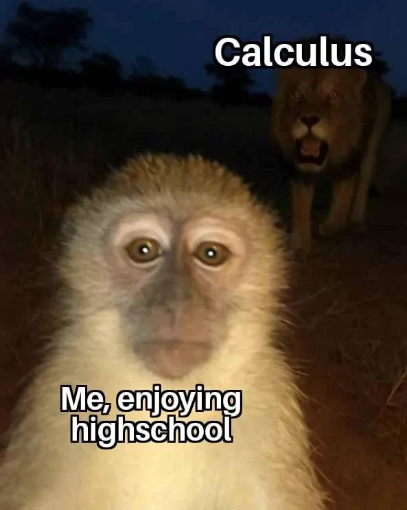 me enjoying high school