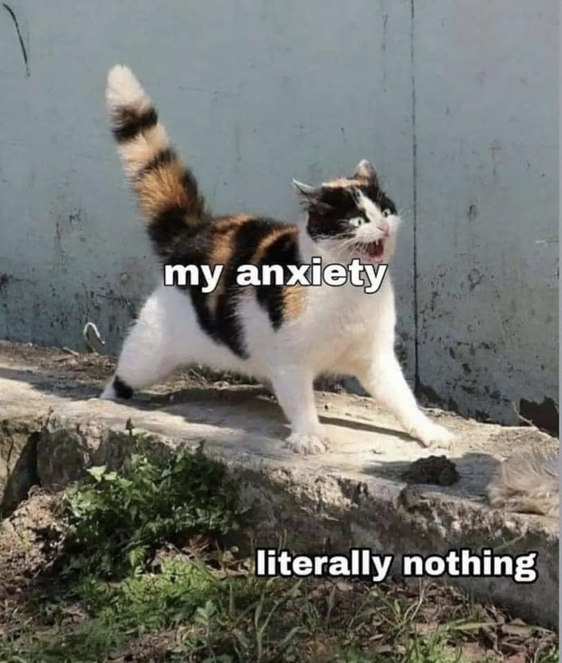 24 Classic Introvert Memes That Celebrate the Art of the Social Escape 12 my anxiety - Classic Introvert Memes