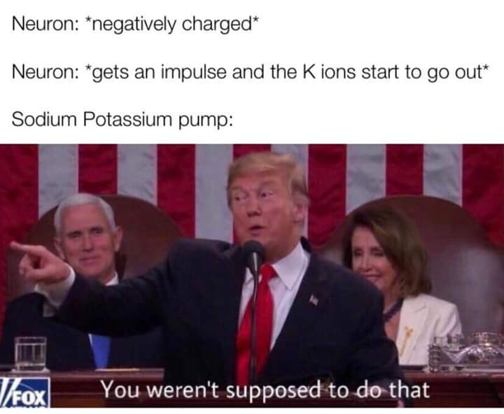 40 Science Memes That Have Been Proven To Cause Laughter 38 negatively charged