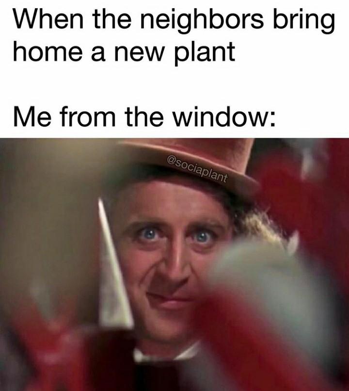 20 Plant Memes That Will Leaf You Laughing 10 neighbors bring new plant - Plant Memes