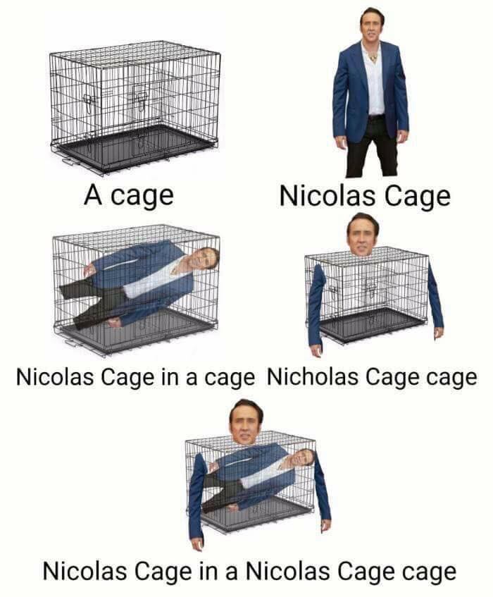25 Surreal Memes That Will Make Your Brain Do Somersaults 11 nicolas cage - Surreal Memes