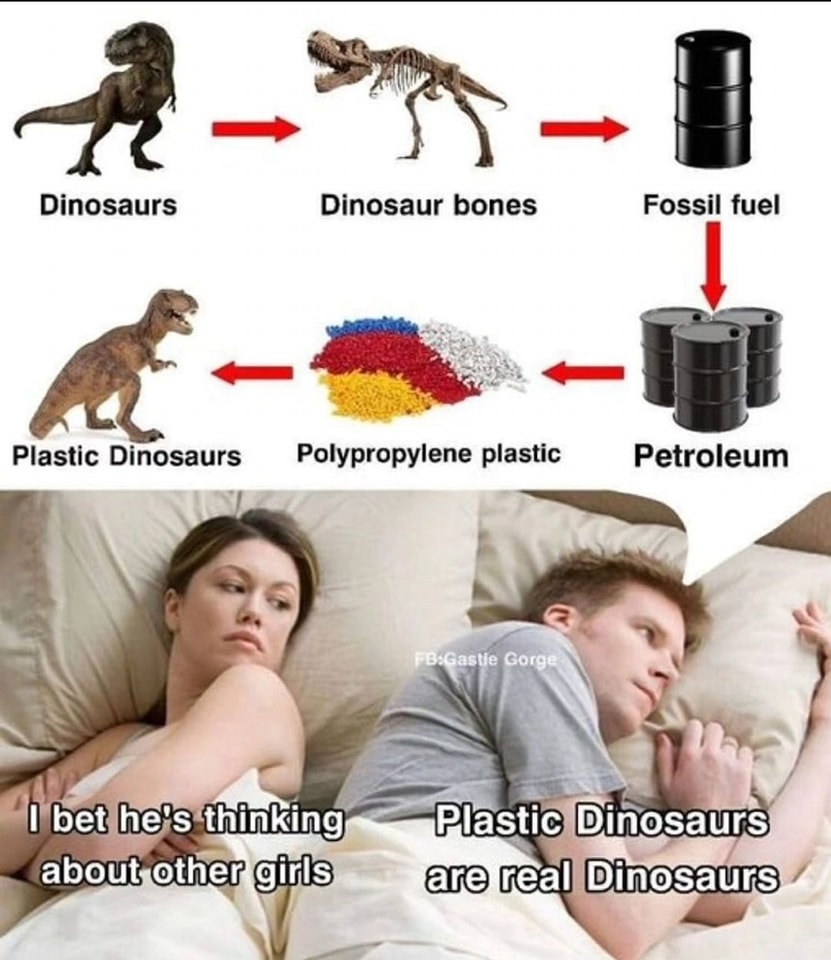 20 Funny Educational Memes Teachers Don’t Want You to See 14 plastic dinosaurs - Funny Educational Memes