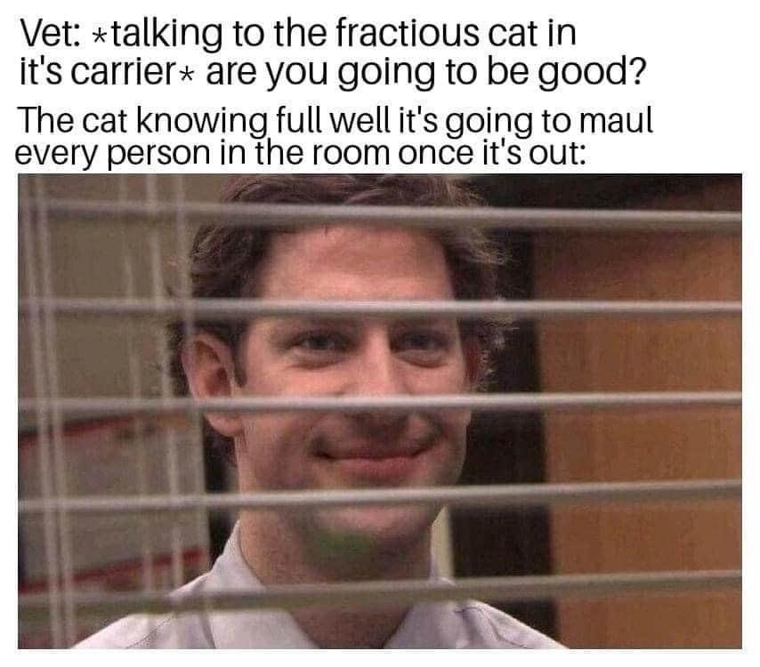 25 Memes So Random, You'll Forget What Day It Is 20 vet