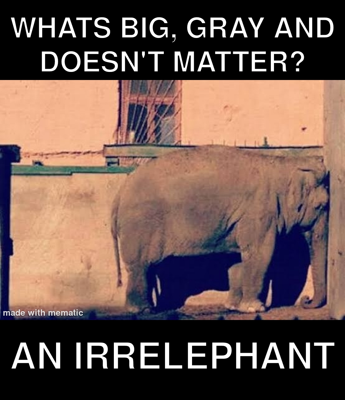 30 Bad Jokes That Are So Bad They're Actually Funny 7 what big gray and doesnt matter