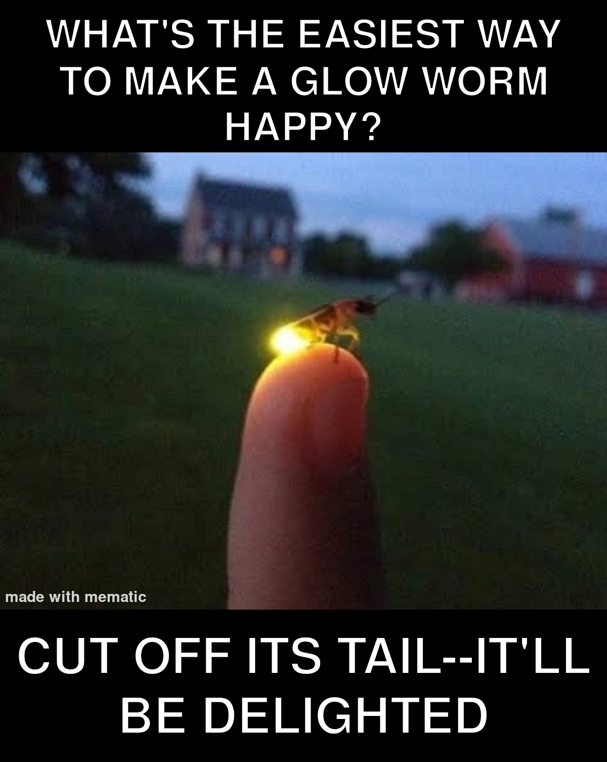30 Bad Jokes That Are So Bad They're Actually Funny 18 whats the easiest way to make a glow worm happy