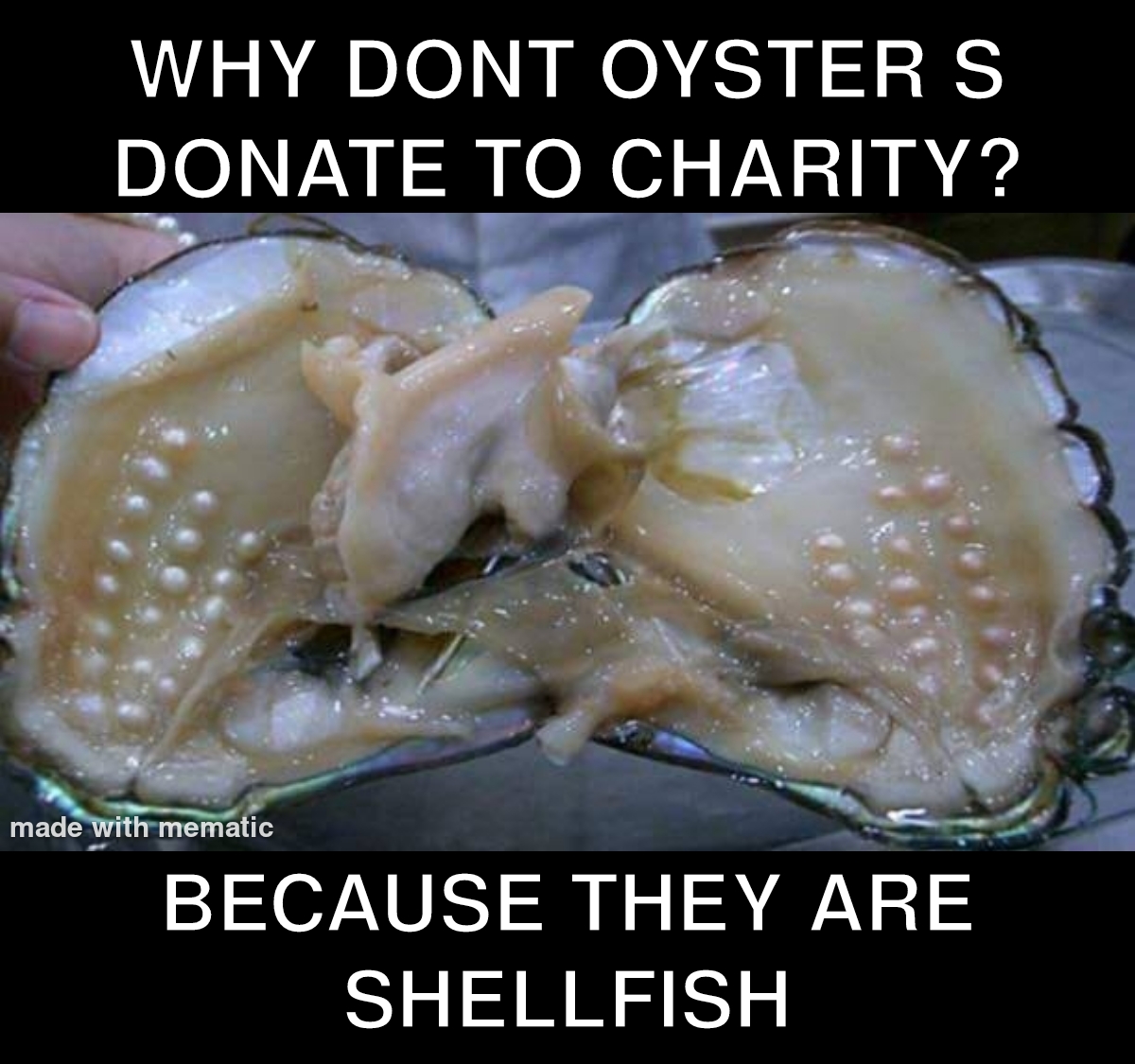 30 Bad Jokes That Are So Bad They're Actually Funny 20 why dont oyester donate to charity