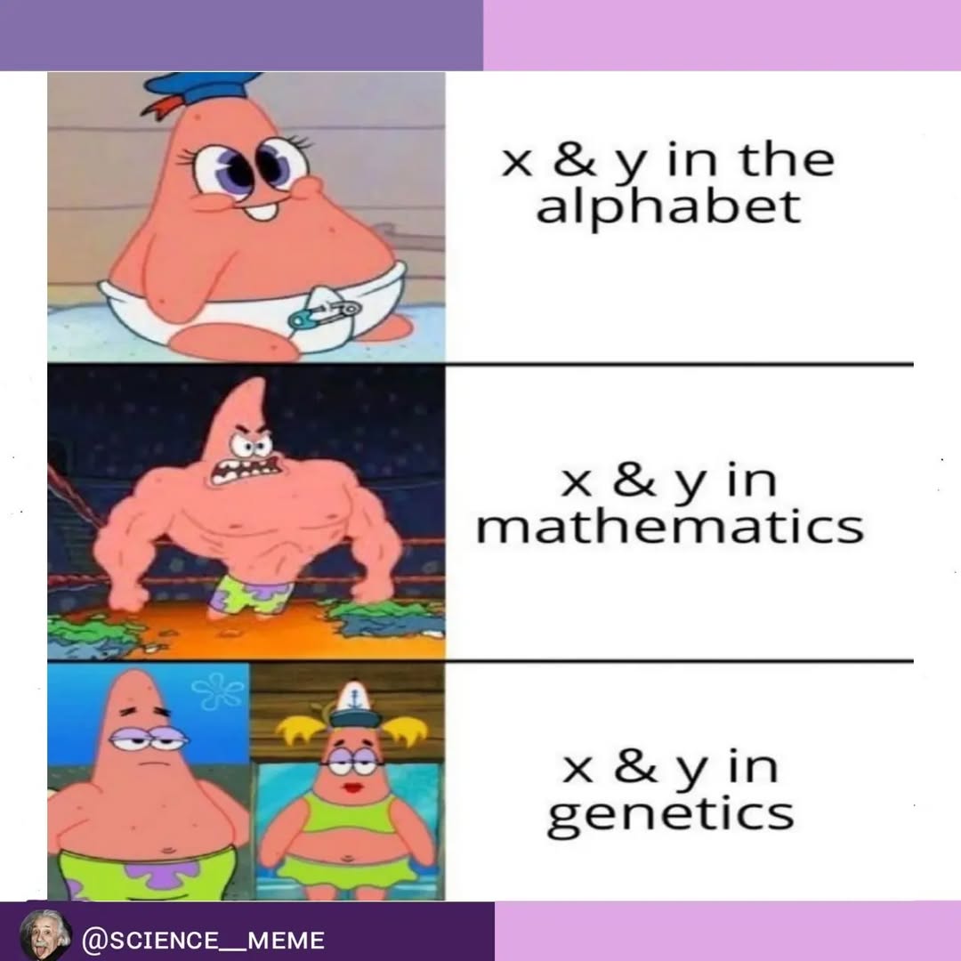 40 Science Memes That Have Been Proven To Cause Laughter 19 x & y in alphabet - science memes