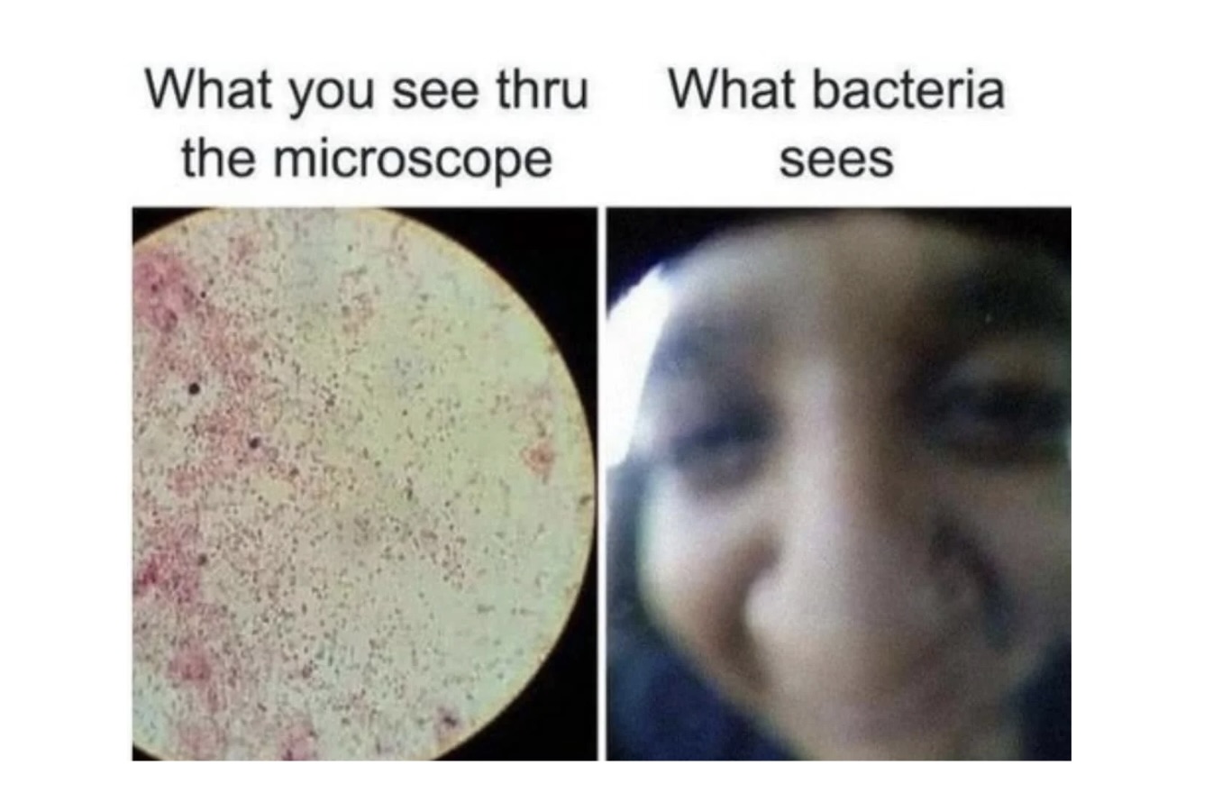 Brainy Memes That Will Blow Your Brains Out FG