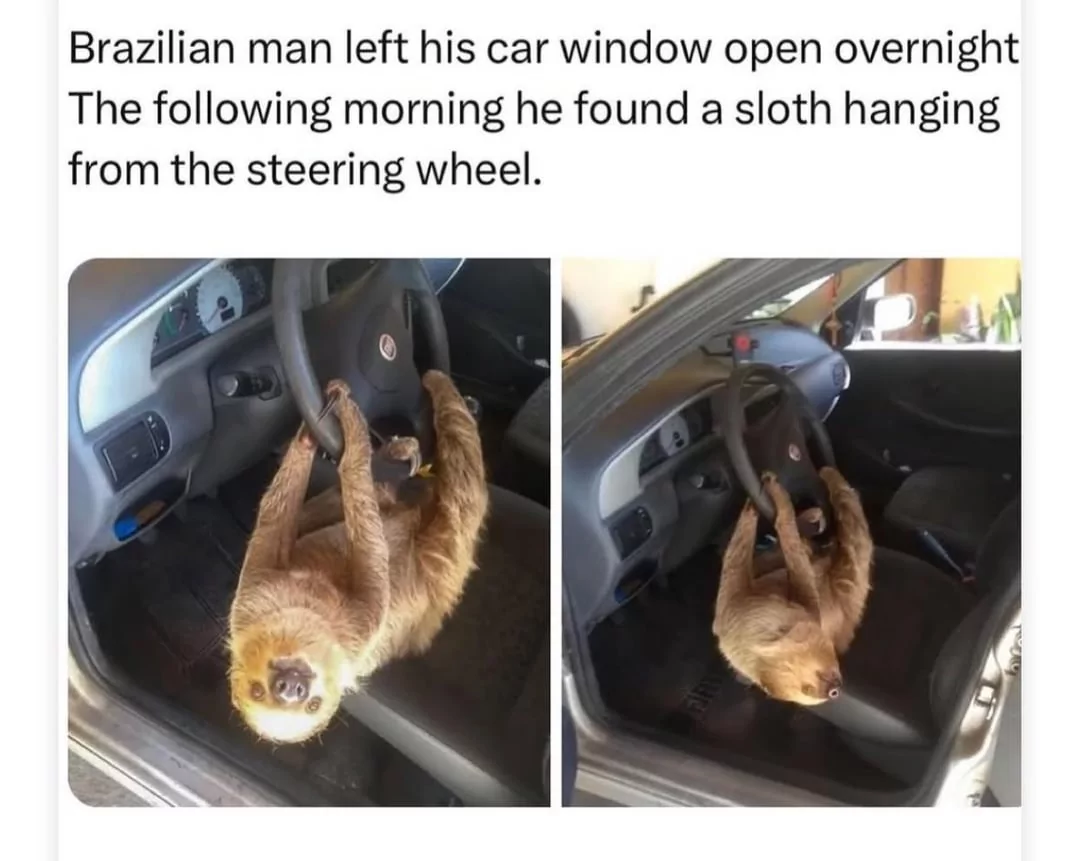 Brazilian man left is window ope
