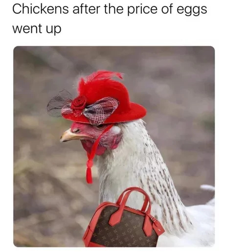 32 Egg Memes That Will Crack You Up! 4 Chickens after the prices of eggs - egg memes