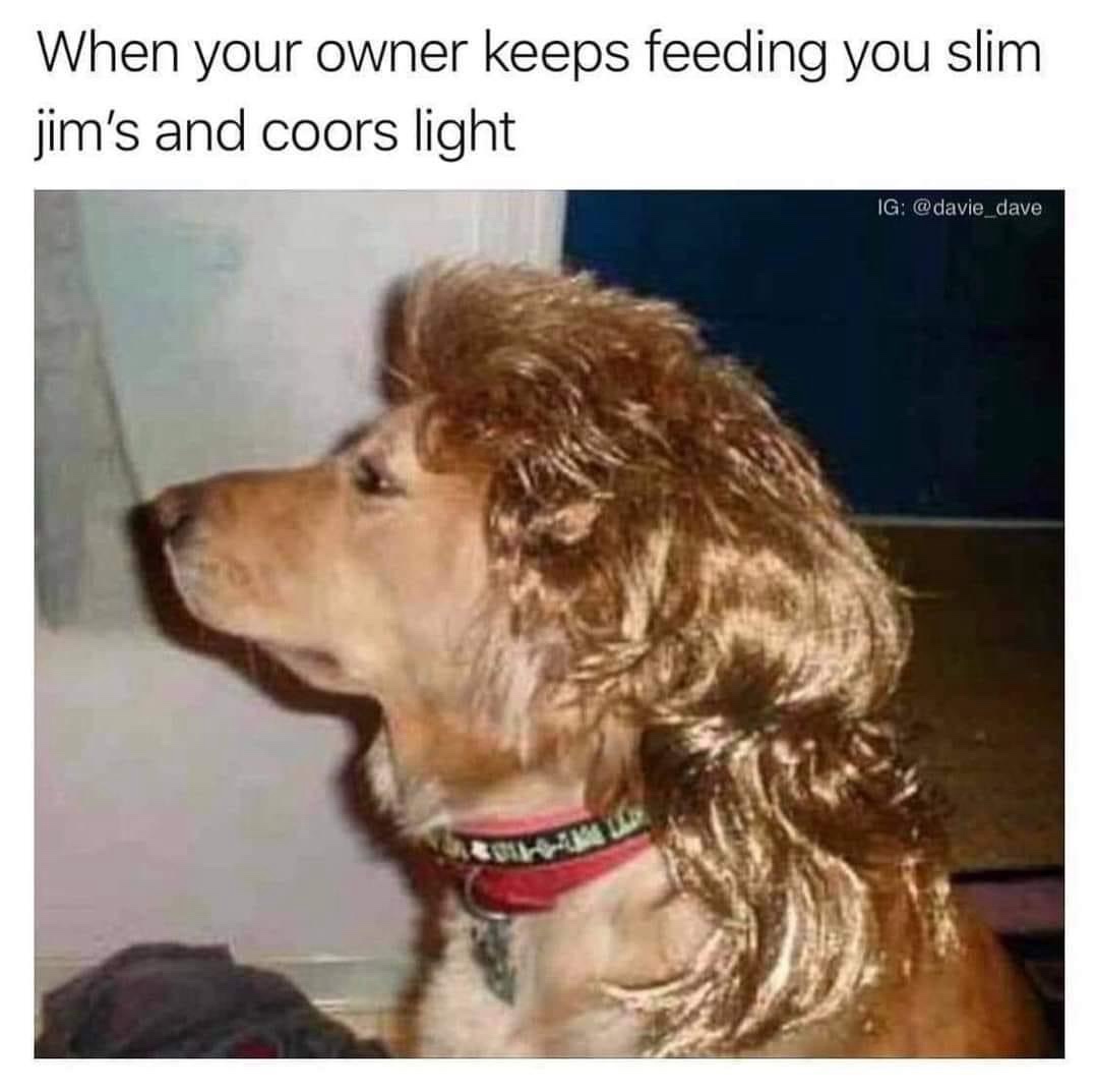 20 Memes to Fill Your Day with Unexpected Giggles 3 Coors light