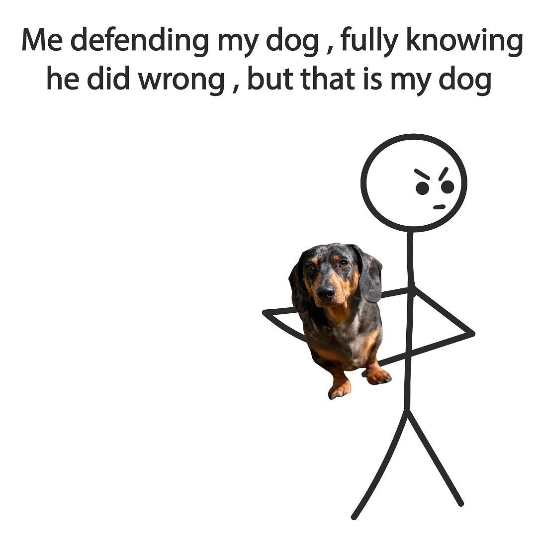 Defending my dog