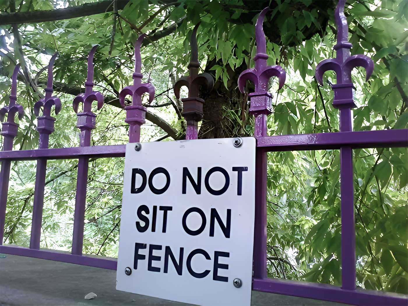 30 Unexpected Signs That Will Totally Throw You Off 11 Do not sit on fence - unexpected signs