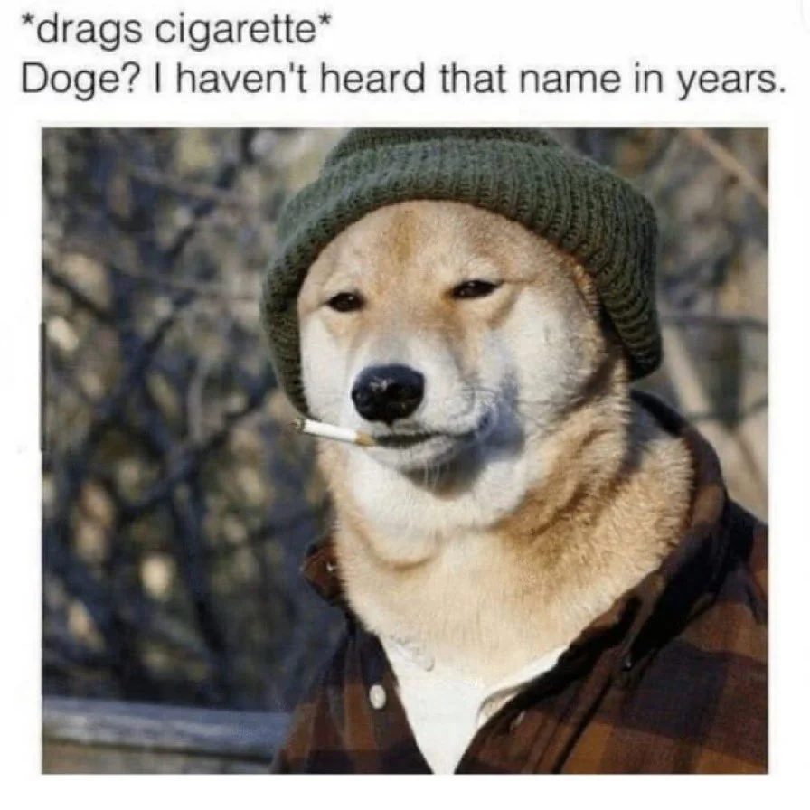 35 Dankest Crypto Memes Guaranteed To Mine Laughter 4 Doge I haven't heard that name