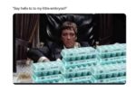 Egg Memes That Will Crack You Up FG