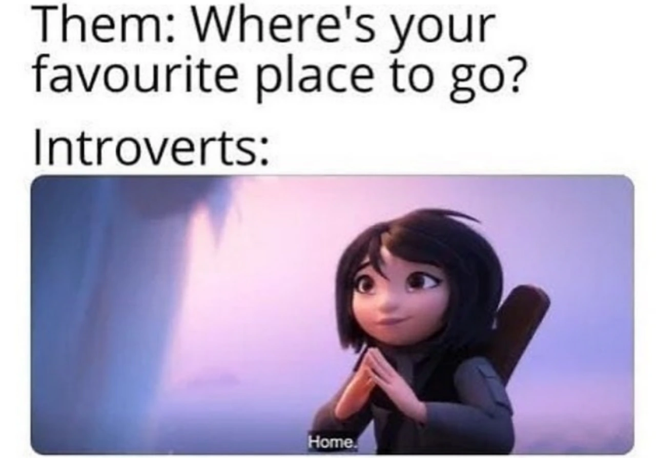 24 Classic Introvert Memes That Celebrate the Art of the Social Escape 22 Favorite place to go to