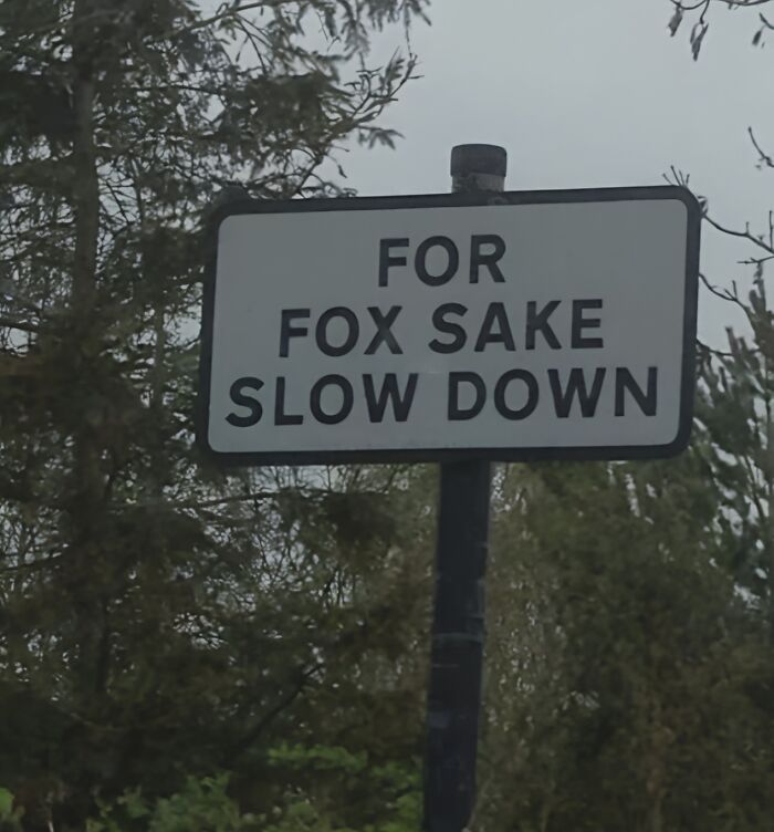 30 Unexpected Signs That Will Totally Throw You Off 14 For fox sake - unexpected signs