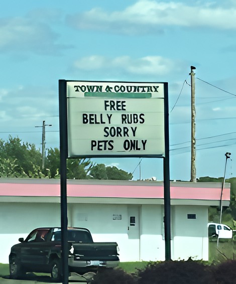 30 Unexpected Signs That Will Totally Throw You Off 30 Free belly rubs