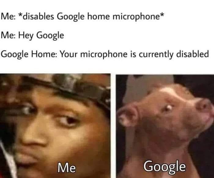 45 Programming Memes that Turn "Hello World" into "Haha World" 42 Google microphone
