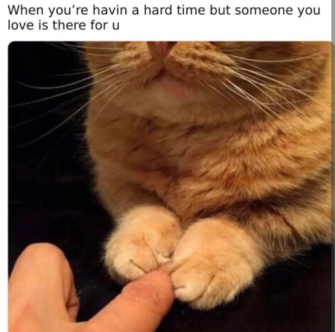 20 Sad Memes That Are a Bit of a Downer but Still a Blast 4 Having a hard time - Sad Memes