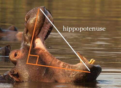 10 Memes So Out of Context, Yet So Hilarious 5 Hippotenuse