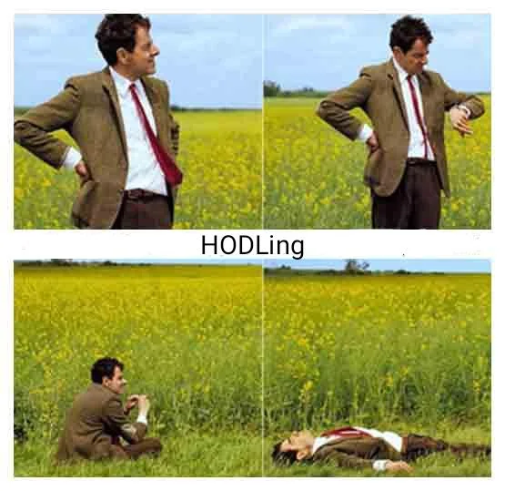 35 Dankest Crypto Memes Guaranteed To Mine Laughter 6 Holding
