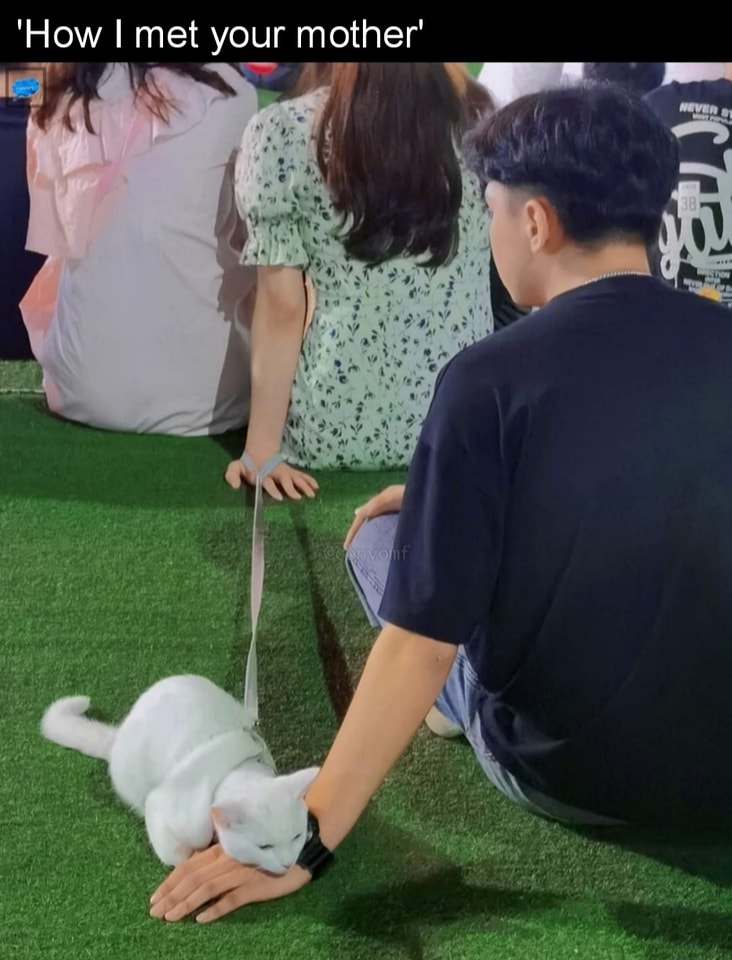 How I met your mother