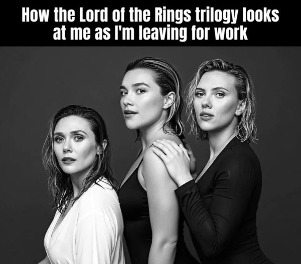 35 Lord of the Rings Memes That Will Make You Want to Watch the Trilogy Again 32 How lord of the rings triology looks at me