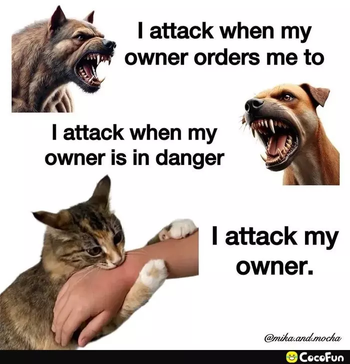 I attack