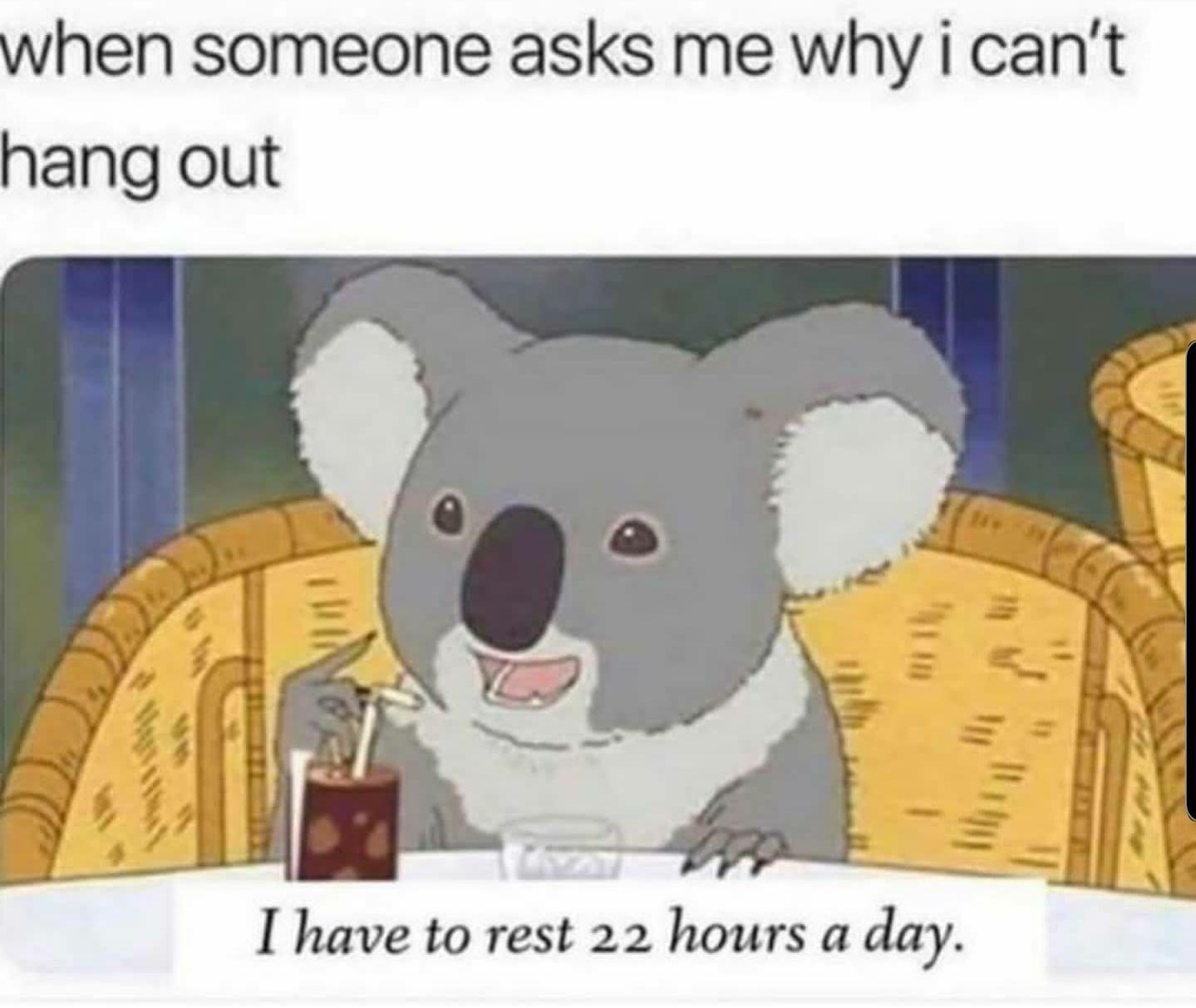 25 Memes That Will Hijack Your Attention (You’ve Been Warned) 6 I have to rest