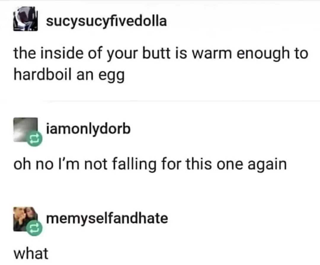 32 Egg Memes That Will Crack You Up! 31 Inside of your butt