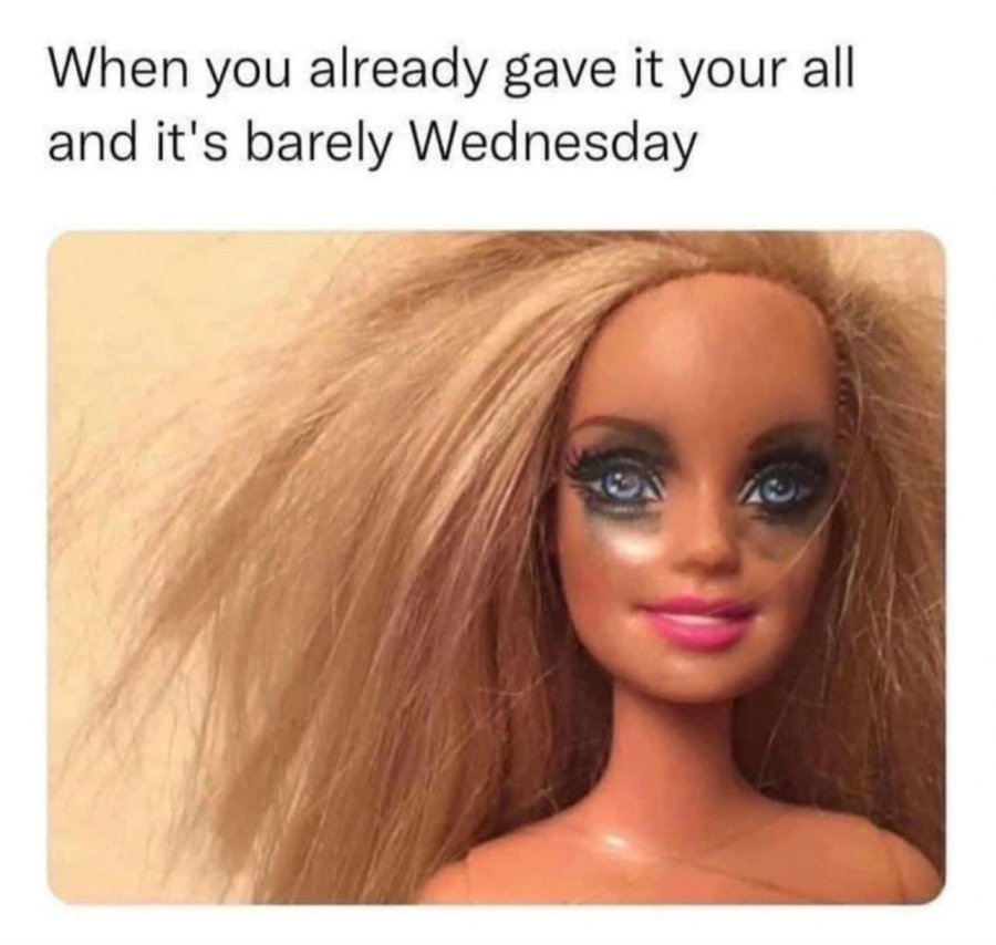 15 Memes That Might Just Be the Highlight of Your Day 11 Its barley wednesday