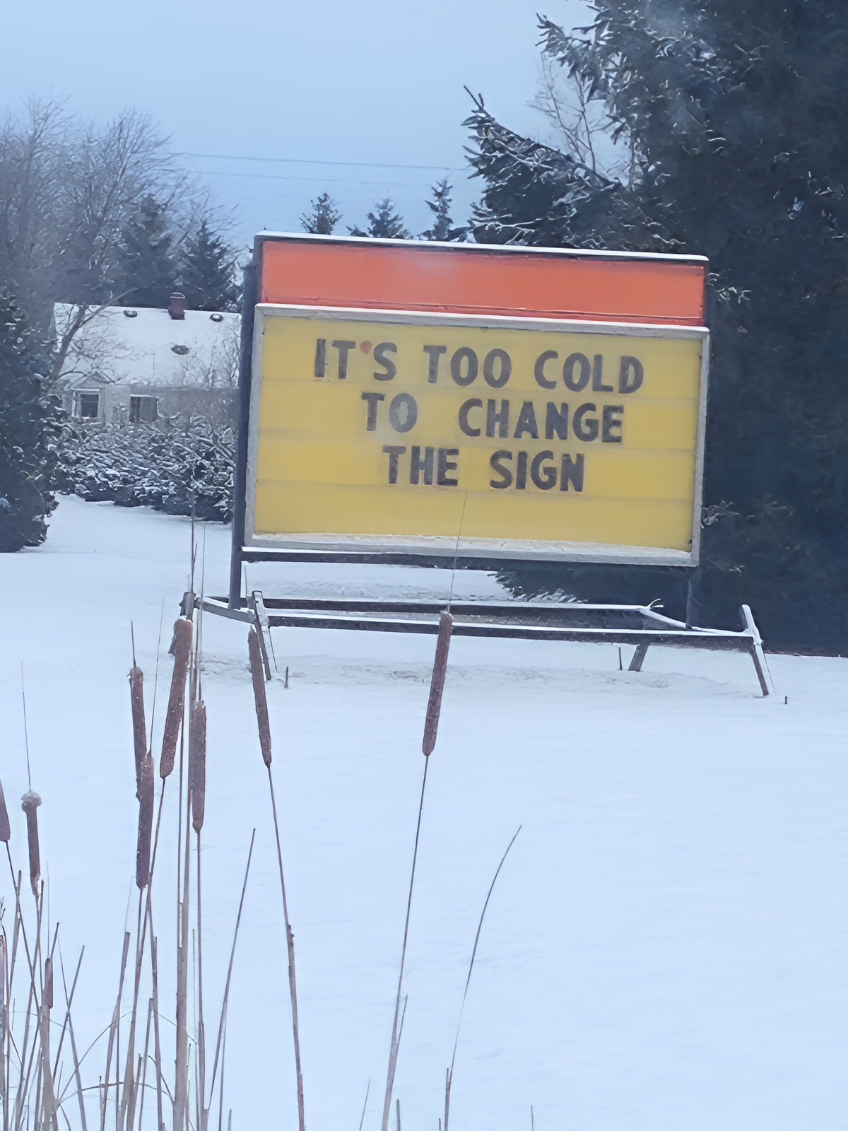 30 Unexpected Signs That Will Totally Throw You Off 17 Its too cold