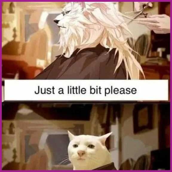 25 Memes That Are Just a Little Too Wrong But Hilariously Right 24 Just a lil bit